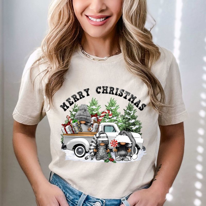 Merry Christmas Gnome  DTF T-SHIRT PRINT